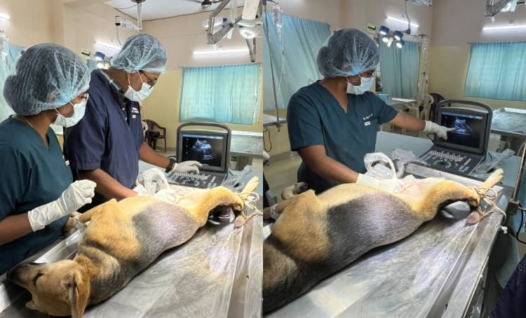 MMC Introduces Ultrasound Machine at Fathullaguda ABC Centre